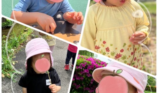 春のお散歩は「み～つけた♪」がいっぱい！【幸区：保育室さくらんぼ】