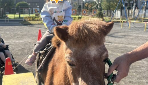 果樹園＆動物園がやってきた！【川崎区：ひより保育室】