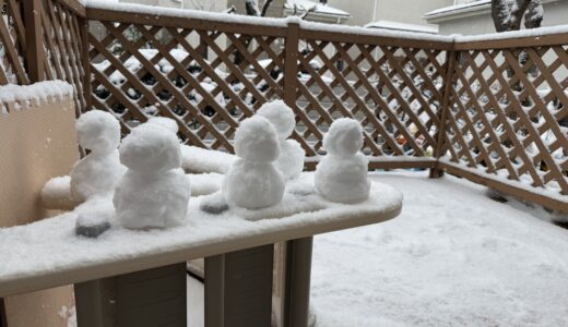 雪遊びをしました⛄【宮前区：白石保育室】